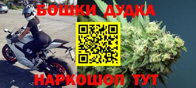 прущие грибы Ставрополь