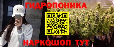 прущие грибы Ставрополь