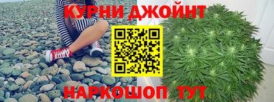 прущие грибы Ставрополь